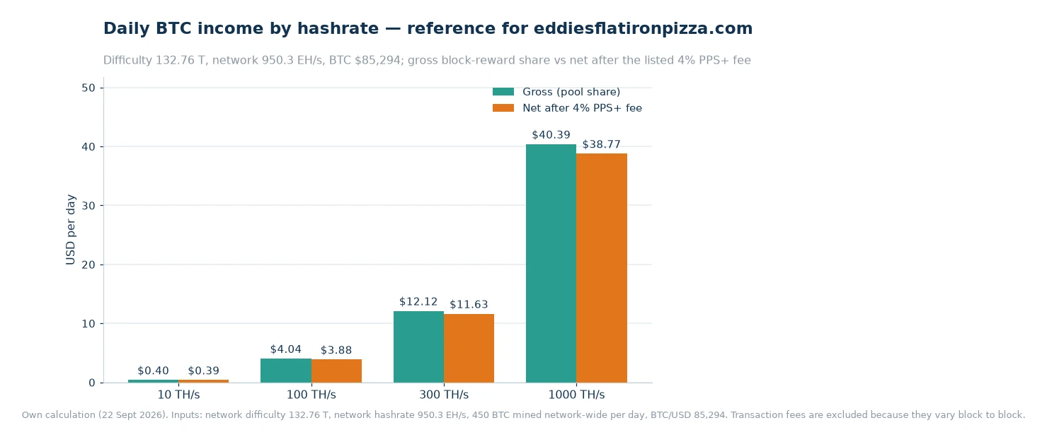 Bar chart of daily gross and post-fee dollar income at 10, 100, 300 and 1,000 terahashes per second